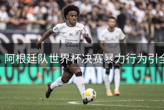 阿根廷队世界杯决赛暴力行为引全球媒体声讨 体育精神遭质疑